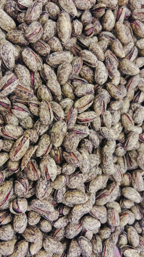 Fresh roasted pistachios in shell, vertical view Stock Footage 345156003