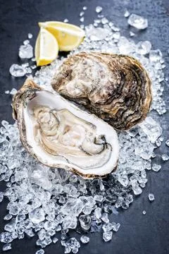Fresh rock oyster offered as closeup opened with sliced lemon on crushed ice Stock Photos