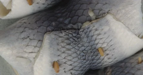 Fresh rollmops closeup rotating top view Stock Footage 161412761