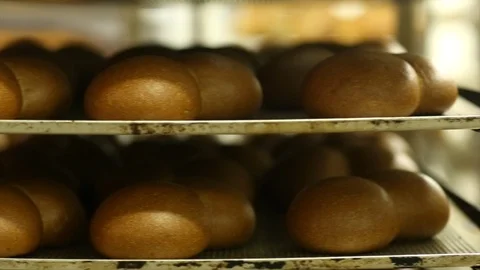 Fresh rolls lie on a tray Video stock 105081694