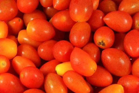 Fresh rosa tomatoes background. Stock Photos
