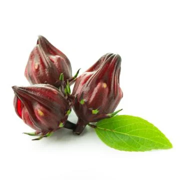 Fresh roselle fruit Stock Photos