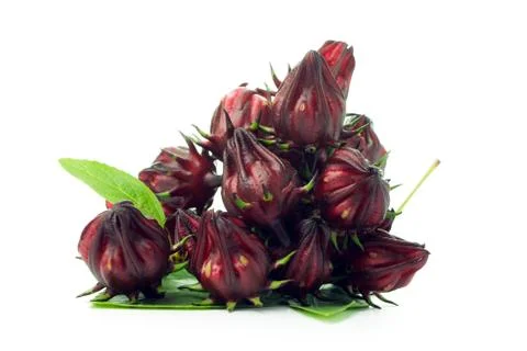 Fresh roselle fruit Foto stock
