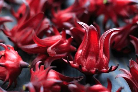 Fresh Roselle Stock Photos