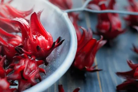 Fresh Roselle Stock Photos