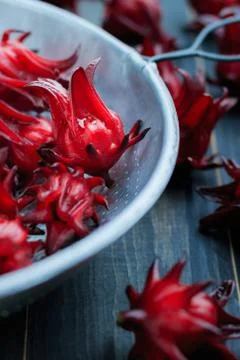 Fresh Roselle Stock Photos