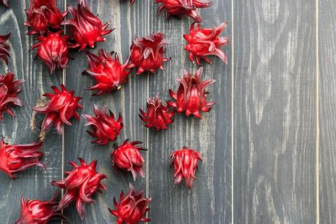 Fresh Roselle Stock Photos