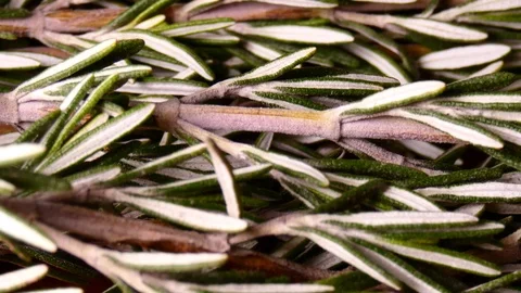 Fresh rosemary Video stock 115007932