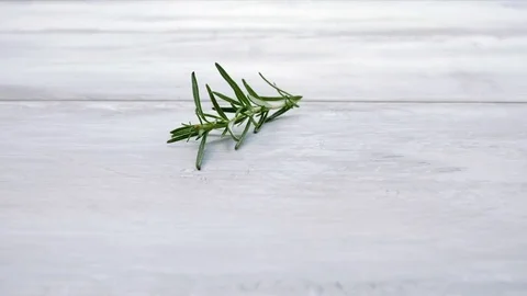 Fresh rosemary herbs. Stock Footage 76988519