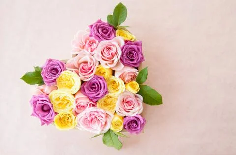 Fresh roses in different colors as a background Free Stock Illustration