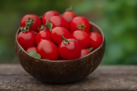 Fresh round red tomatoes on rustic wooden background. Cherry tomatoes in a wo 스톡 사진
