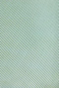 Fresh rubber sheet texture Stock Photos