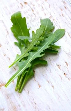 Fresh rucola Stock Photos