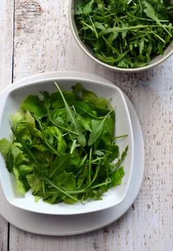 Fresh rucola Stock Photos