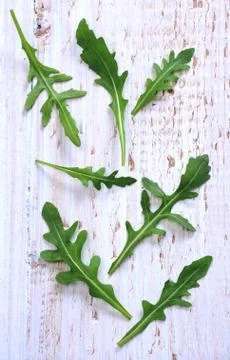 Fresh rucola Stock Photos