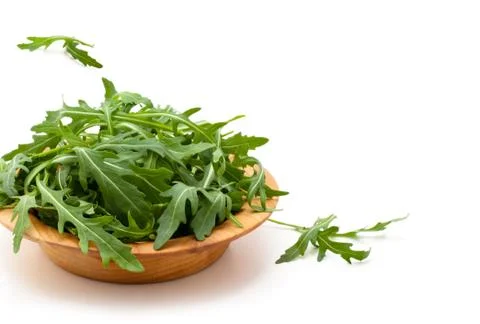 Fresh rucola. Stock Photos