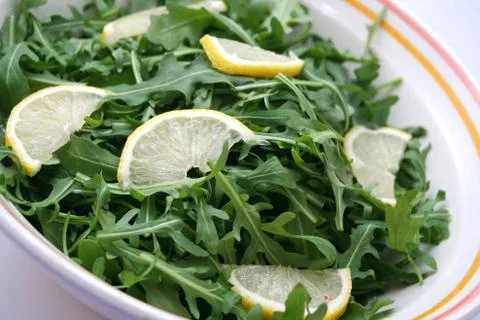 Fresh rucola Stock Photos