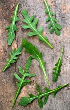 Fresh rucola Foto stock
