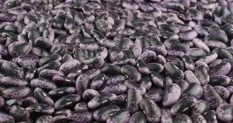 Fresh runner beans closeup rotating Stock Footage 163903794
