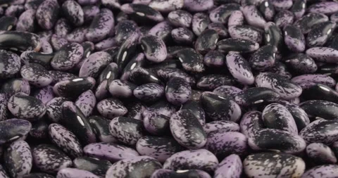 Fresh runner beans closeup rotating 動画素材 166046337