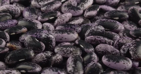 Fresh runner beans closeup rotating Stock Footage 167325959