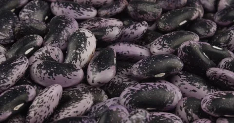 Fresh runner beans closeup rotating Stock Footage 168889202