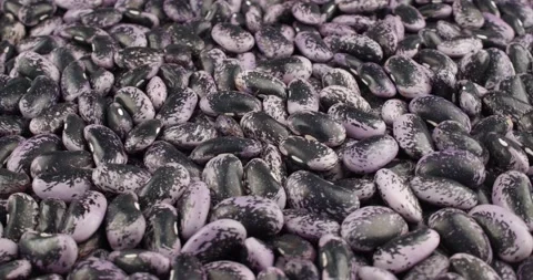 Fresh runner beans closeup rotating Stock Footage 171006824