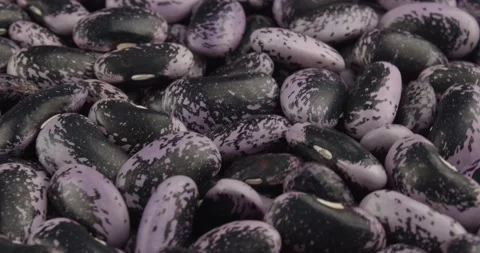Fresh runner beans closeup rotating Stock Footage 178968132