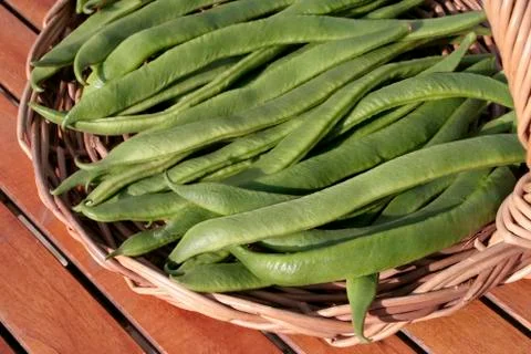 Fresh runner beans Stock Photos