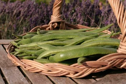 Fresh runner beans Stock Photos