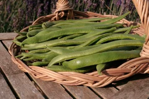 Fresh runner beans Stock Photos