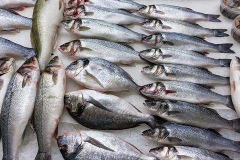 Fresh russian fish 4 Stock Photos