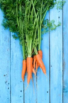 Fresh rustic harvest Stock Photos