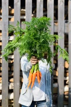 Fresh rustic harvest Stock Photos