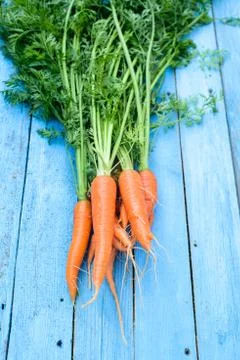 Fresh rustic harvest Stock Photos