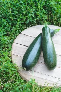 Fresh rustic harvest Stock Photos