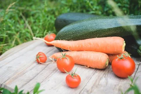 Fresh rustic harvest Stock Photos