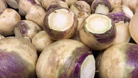 Fresh Rutabagas Stock Footage 80269847