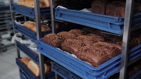 Fresh rye breads on blue trays. Bakery production Stock Footage 321808476
