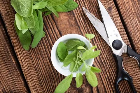 Fresh Sage Stock Photos