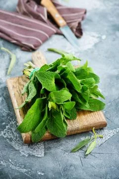 Fresh sage Foto stock