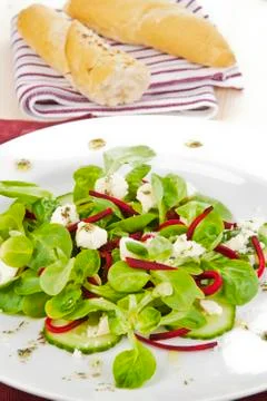 Fresh salad with bread. Stock Photos