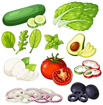 Fresh Salad Ingredients Vector Set with Tomato Cucumber and Avocado Stock Illustration