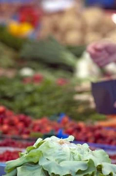 Fresh salad Stock Photos