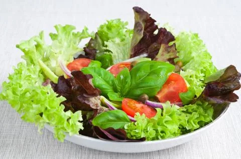 Fresh Salad Фото