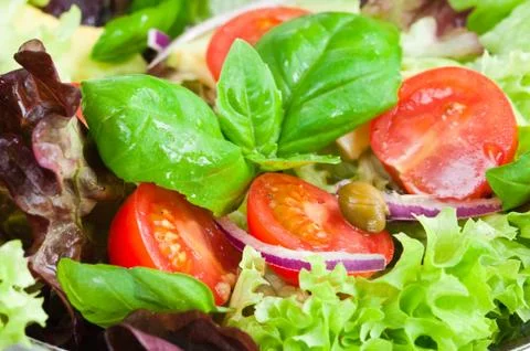 Fresh Salad Stock Photos