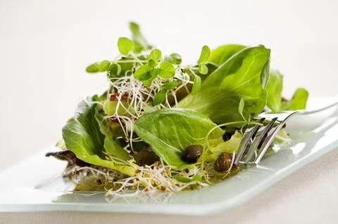 Fresh salad Stock Photos