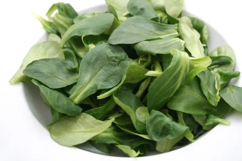 Fresh salad Stock Photos