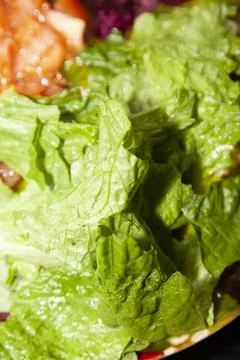 Fresh Salad Stock Photos