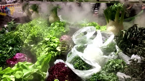 Fresh salad at the supermarked sprayed Stockbeeldmateriaal 237743455